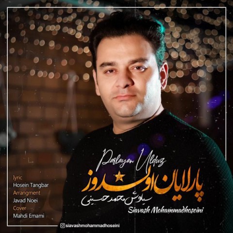 آهنگ سیاوش محمدحسینی دوباره